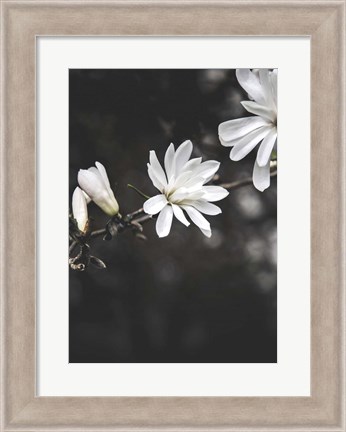 Framed White Flowers Print