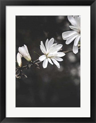 Framed White Flowers Print