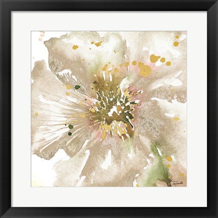 Framed Neutral Watercolor Poppy Close Up II Print