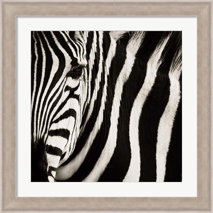 Framed Camouflage I Print