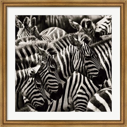 Framed Camouflage II Print