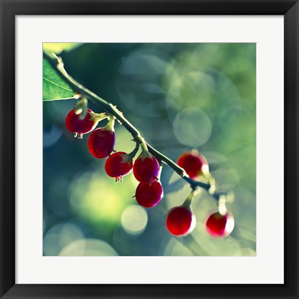 Framed Luscious Print