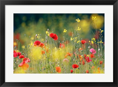 Framed Just a Perfect Day Print