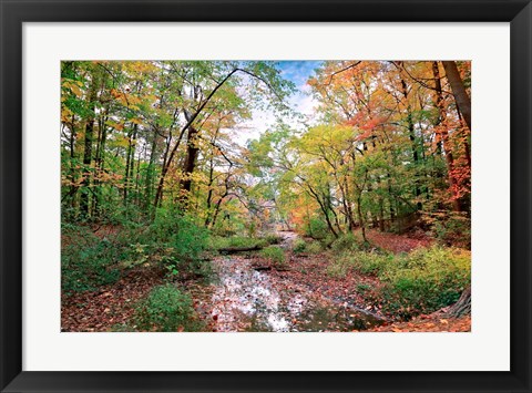 Framed Autumn at Hopkins Pond Print