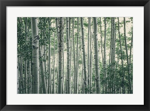 Framed Obscured by Alders Print