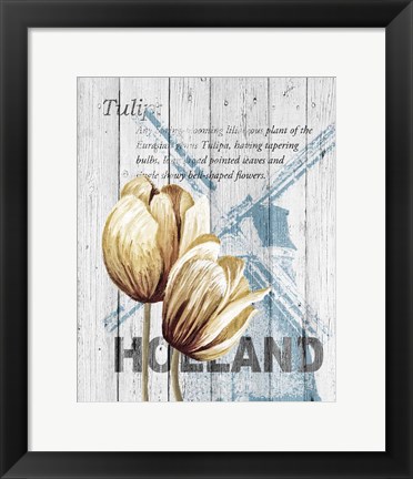 Framed Holland Tulips Print