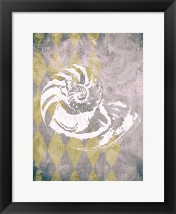 Framed Vintage Harlequin Shell 1 Print