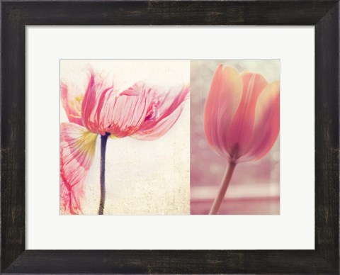 Framed Poppy &amp; Tulip Print