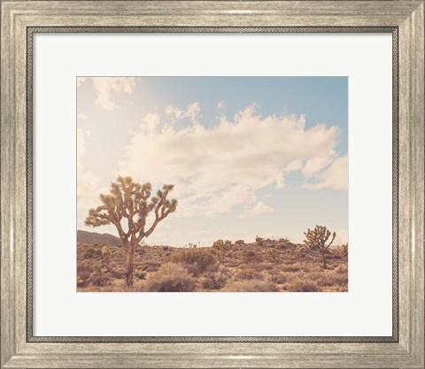 Framed Sunshine &amp; Joshua Trees Print