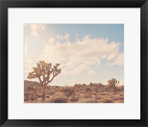 Framed Sunshine &amp; Joshua Trees Print