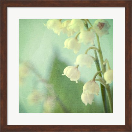 Framed Lily of the Valley Print