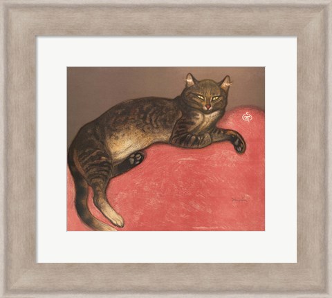 Framed Cat on a Cushion Print