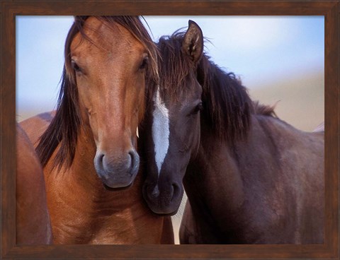 Framed Lovers Print