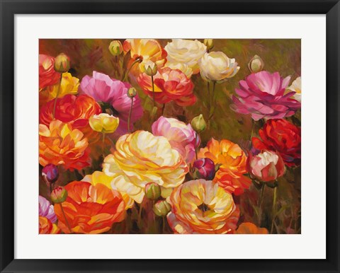 Framed Ranunculus Garden Print