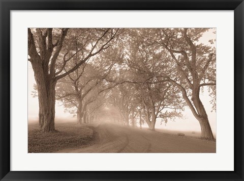 Framed Guardians of the Road Print