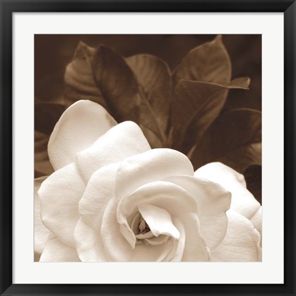 Framed Gardenia Garden Print