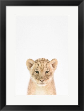 Framed Baby Lion Print