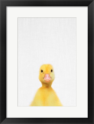 Framed Duck Print