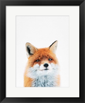 Framed Fox Print