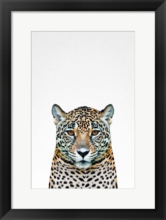 Framed Leopard II Print