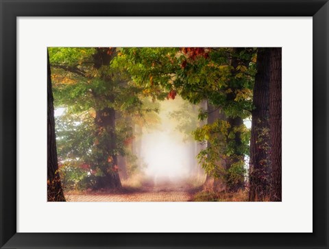 Framed Fall Colors Print