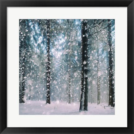 Framed Flakes Print