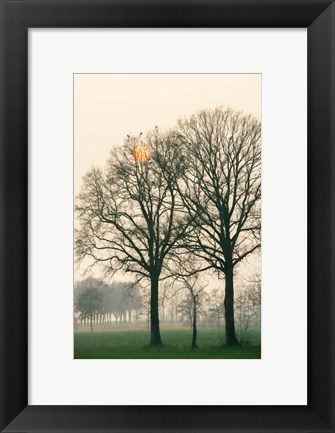 Framed Preparing for Sunset Print