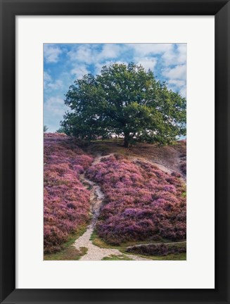 Framed Purple Heath Print