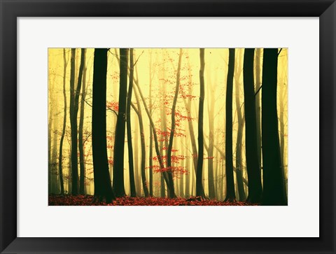 Framed Red Leaves Print