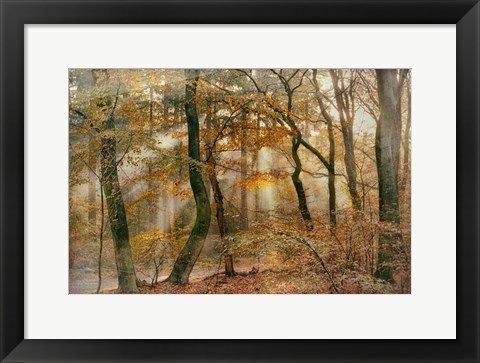 Framed You Can&#39;t Hide Your Rays for Me Print