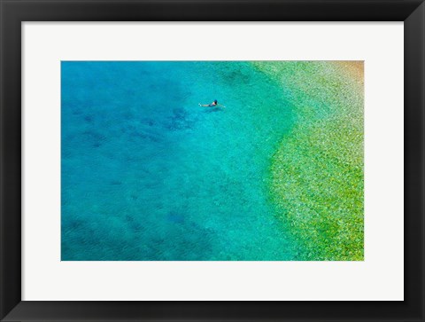 Framed Solo Swim Print