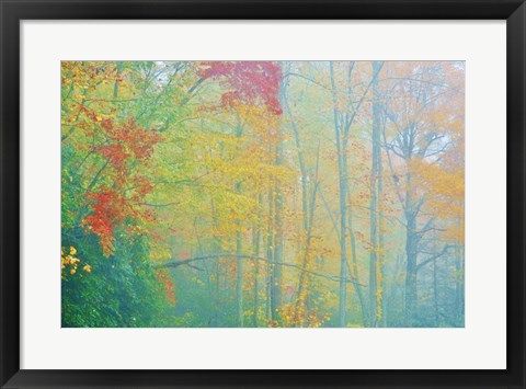 Framed Autumn&#39;s Palette Print