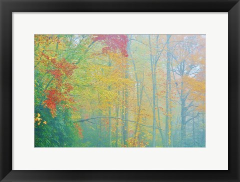 Framed Autumn&#39;s Palette Print