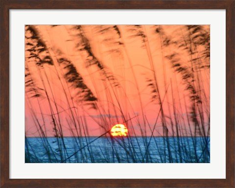 Framed Sun Dance Print