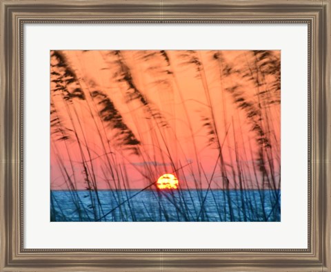 Framed Sun Dance Print