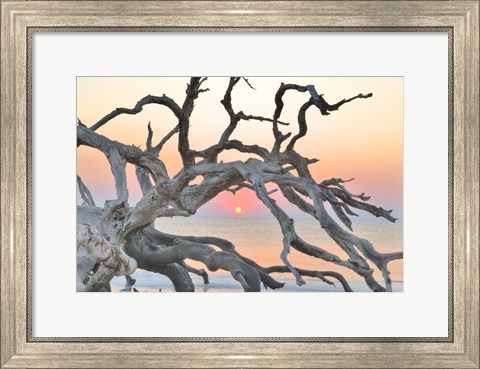 Framed Sunrise Sentinel Print