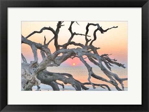 Framed Sunrise Sentinel Print