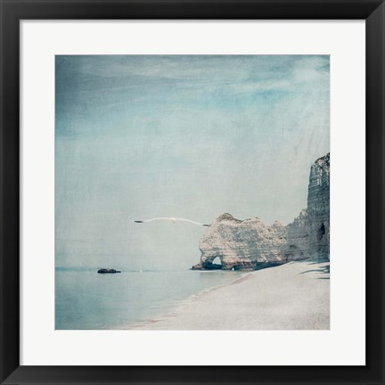 Framed Gliding Print