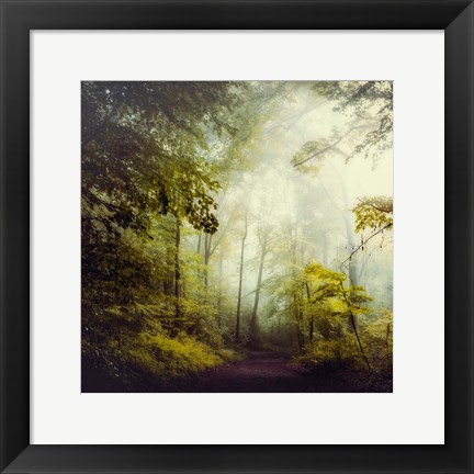 Framed Glorious Woods Print