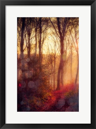 Framed Seasons Light Print