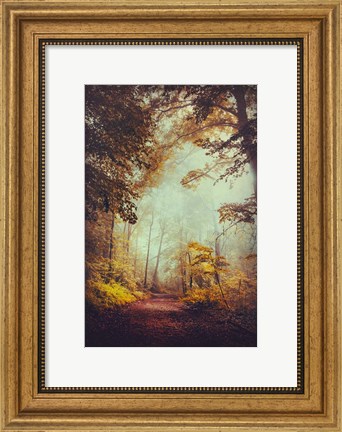 Framed Silent Forest Print