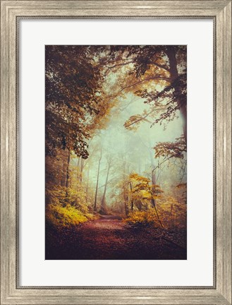 Framed Silent Forest Print