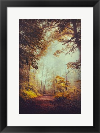 Framed Silent Forest Print