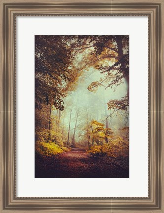 Framed Silent Forest Print