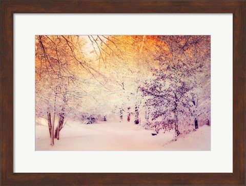 Framed Snowy Sunrise Print