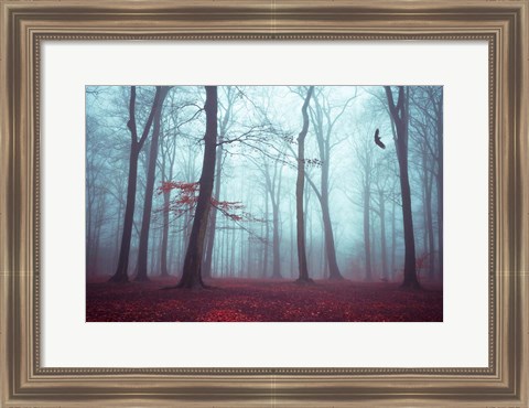 Framed Solstice in Fog Print