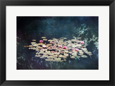 Framed Waterlilies Print