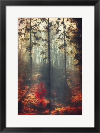 Framed Weight of Light Print