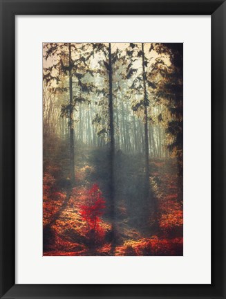 Framed Weight of Light Print