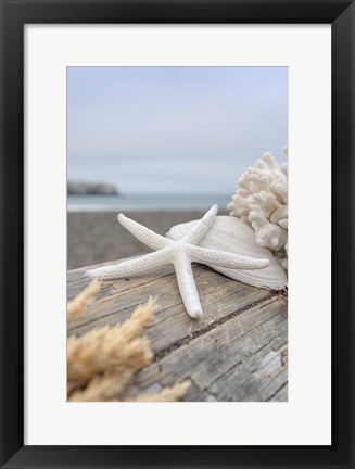 Framed Crescent Beach Shells 13 Print